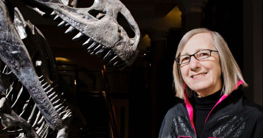 Gerta Keller Warum sind die Dinosaurier ausgestorben?
